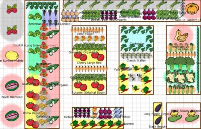 Схема организации грядок