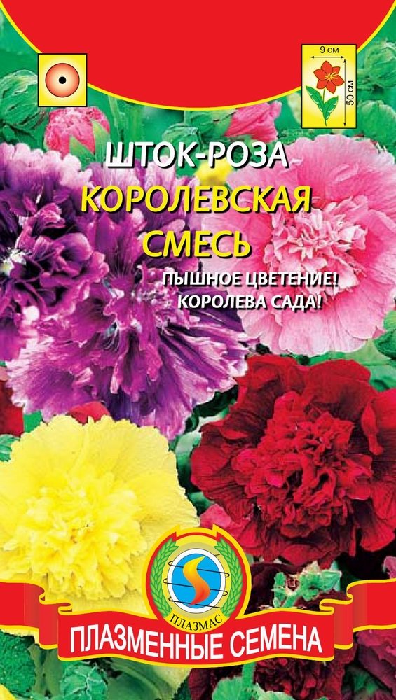 Выращивание шток-розы из семян, когда сажать и как добиться цветения в первый год